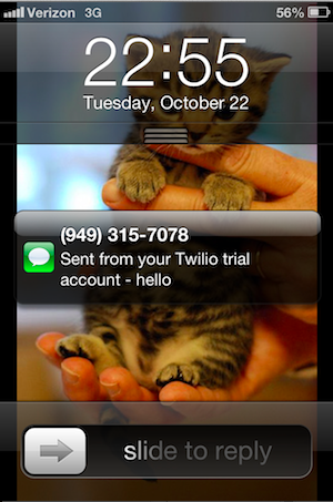 twilio cat